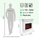 Flex elektrische haard specificaties