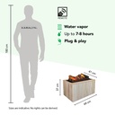 Jörne Compact elektrische wandhaard specificaties